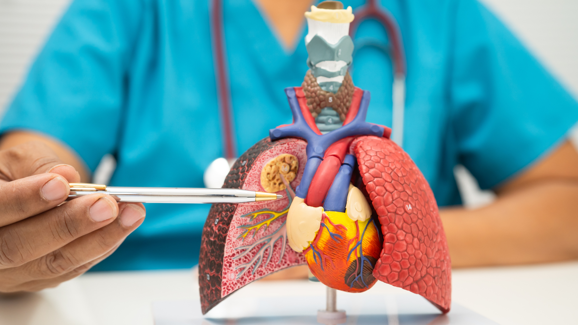Asthma Section